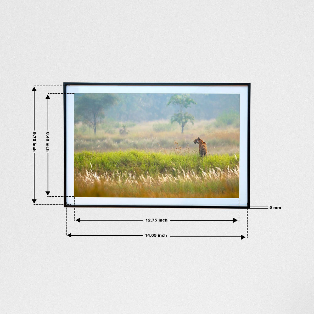 Nature's tapestry, truly worthy of the King -  Photograph Print with Frame