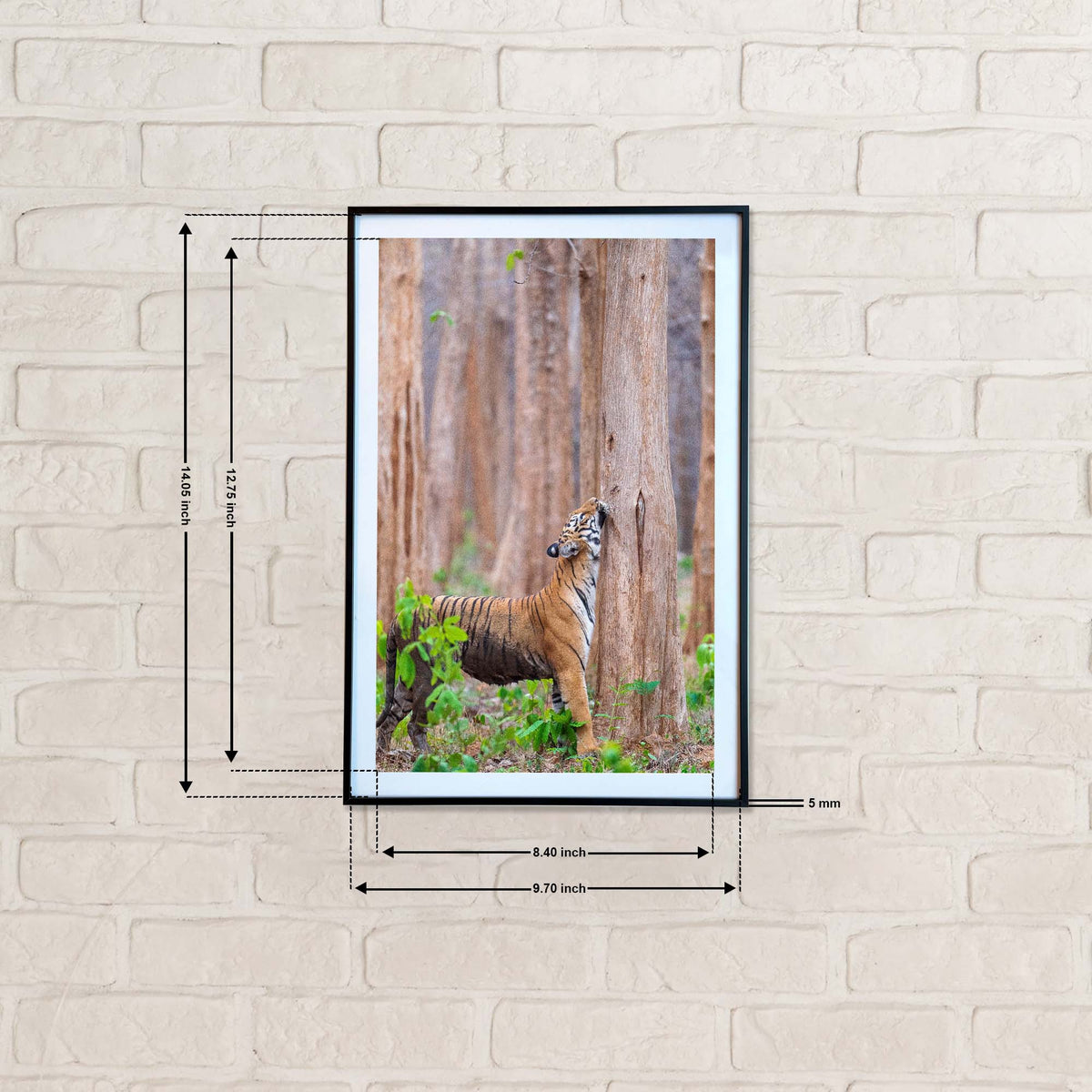 That's what I call a satisfying neck scratch -  Photograph Print with Frame