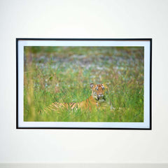 Taking it slow in the lush green daybed -  Photograph Print with Frame