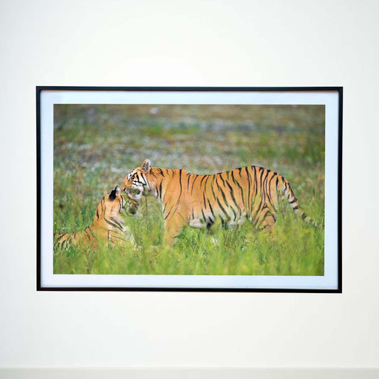 A tender moment of love and care -  Photograph Print with Frame