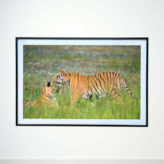 A tender moment of love and care -  Photograph Print with Frame