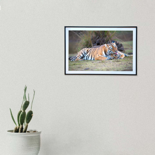 A loving lick, a bond unbreakable -  Photograph Print with Frame