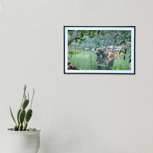 Calm on the surface, vigilant beneath -  Photograph Print with Frame