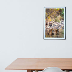 A tranquil tandem, cooling off together -  Photograph Print with Frame