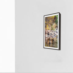 A tranquil tandem, cooling off together -  Photograph Print with Frame