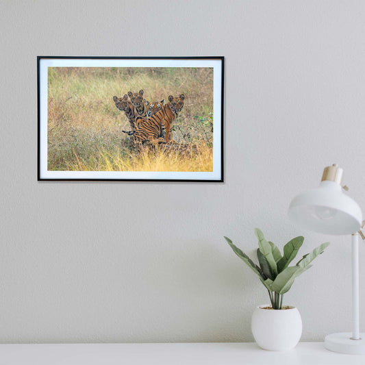 Eyes on the horizon, a moment of shared curiosity -  Photograph Print with Frame