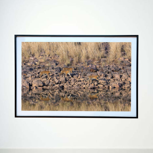 Rocky trail, mirrored journey -  Photograph Print with Frame