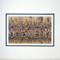 Rocky trail, mirrored journey -  Photograph Print with Frame