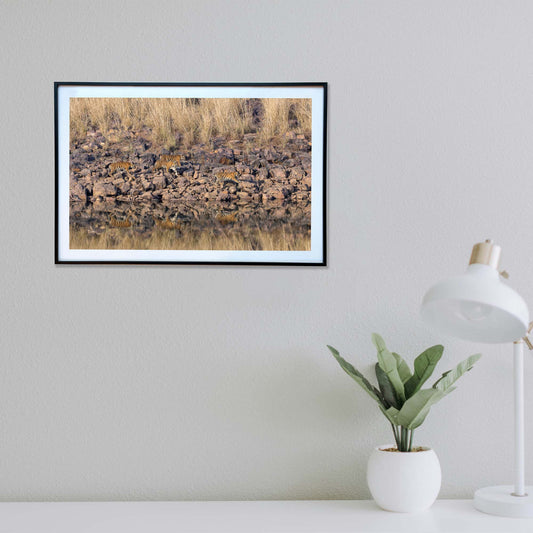 Rocky trail, mirrored journey -  Photograph Print with Frame