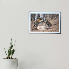 Prey, power plays and patience -  Photograph Print with Frame