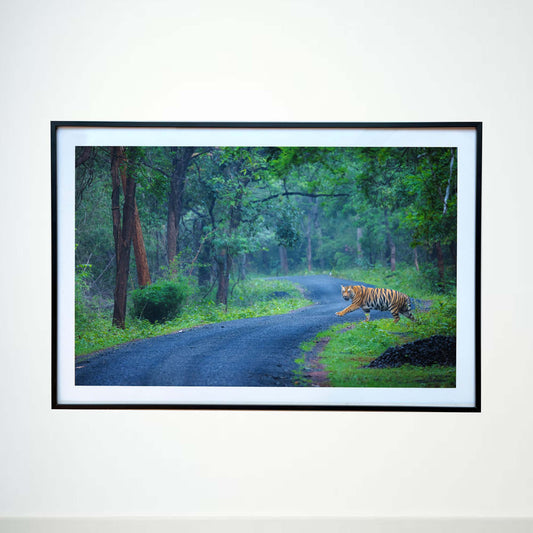 When the jungle's your domain, every road is yours -  Photograph Print with Frame