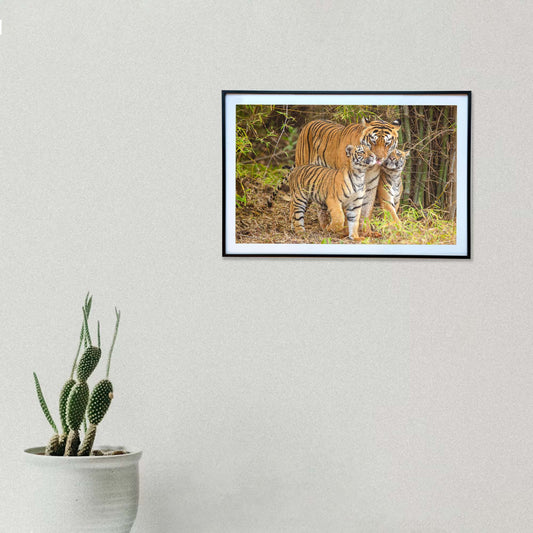 A mother's love, flanked by tiny, affectionate noses -  Photograph Print with Frame