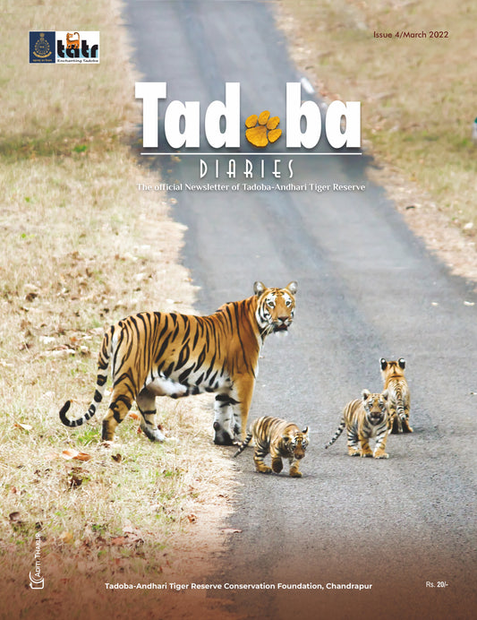 Tadoba Diaries - March 2022 (Digital only)