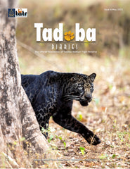 Tadoba Diaries - May 2022 (Digital only)