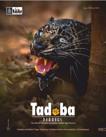 Tadoba Diaries - May 2023 (Digital only)