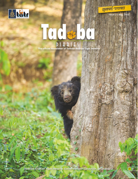 Tadoba Diaries - August 2023 (Digital only)