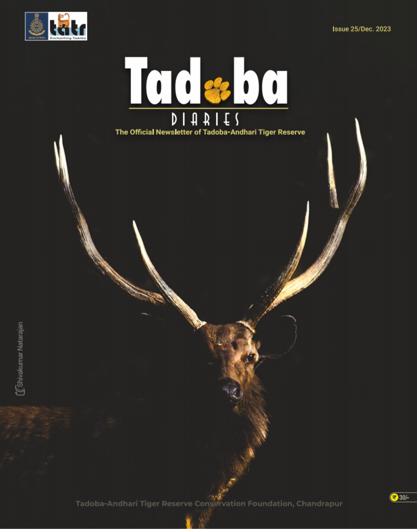 Tadoba Diaries - December 2023 (Digital only)
