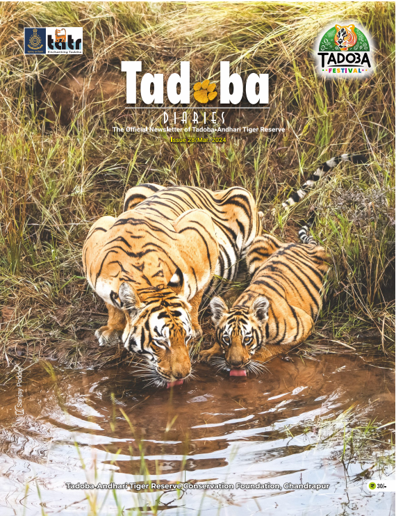 Tadoba Diaries - March 2024 (Digital only)