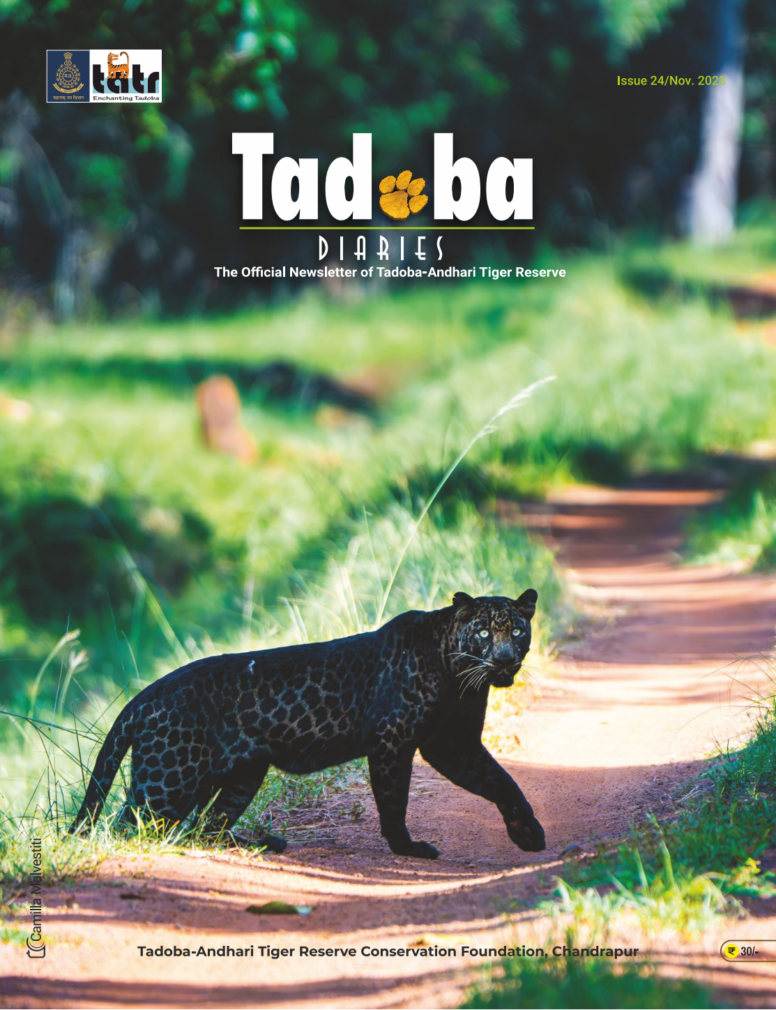 Tadoba Diaries - November 2023 (Digital only)