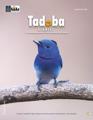 Tadoba Diaries - October 2023 (Digital only)