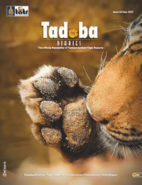 Tadoba Diaries - September 2023 (Digital only)