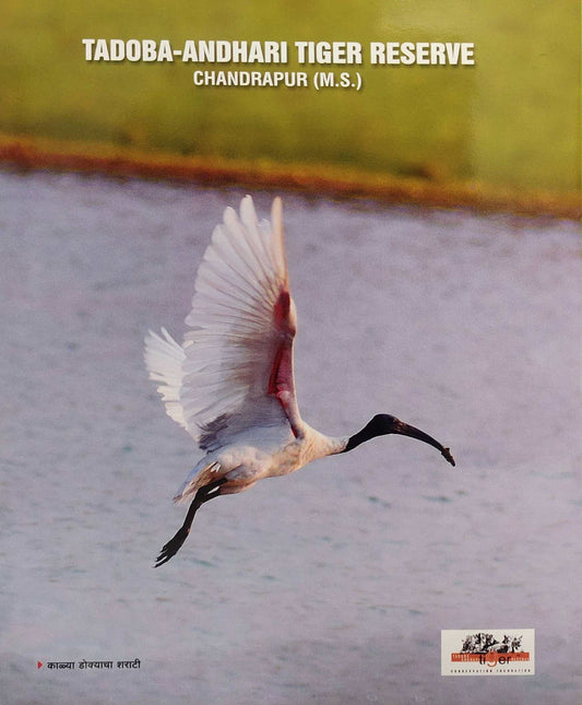 The Tadoba - पक्षी विशेषांक Special Issue Marathi Edition (Print Only)