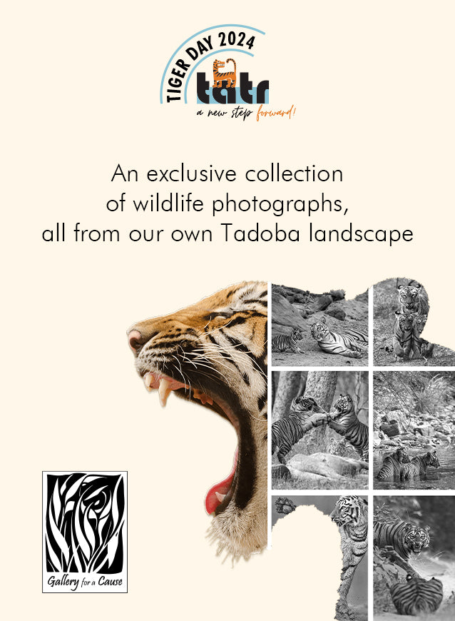 The Tadoba Merchandise Store